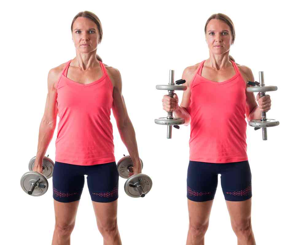 Woman demonstrating a hammer curl exercise