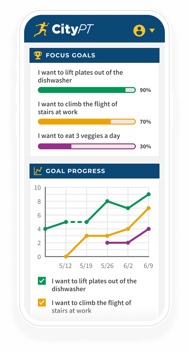 Precision Goal Tracking Image