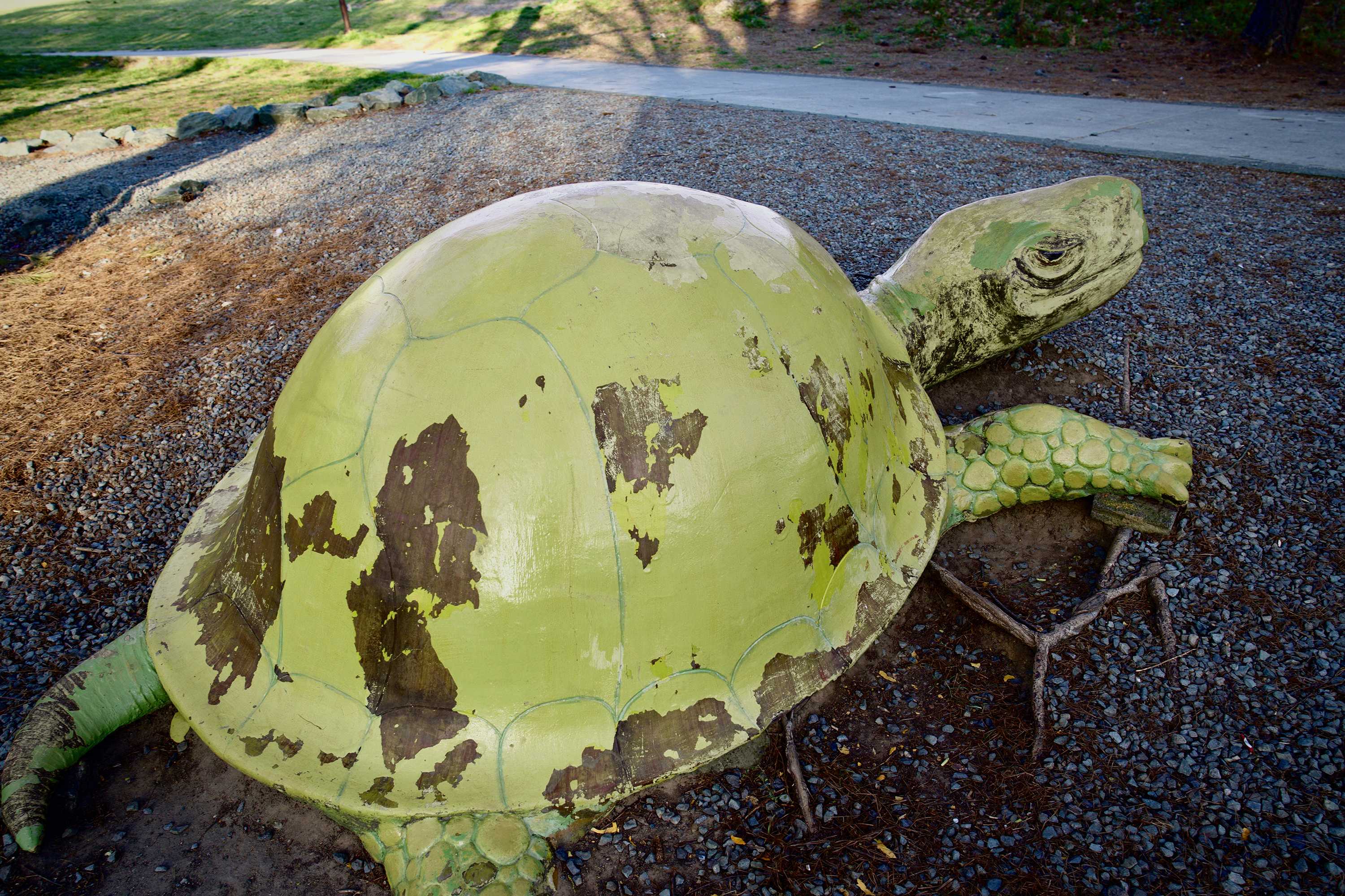 Large turtle sculpture