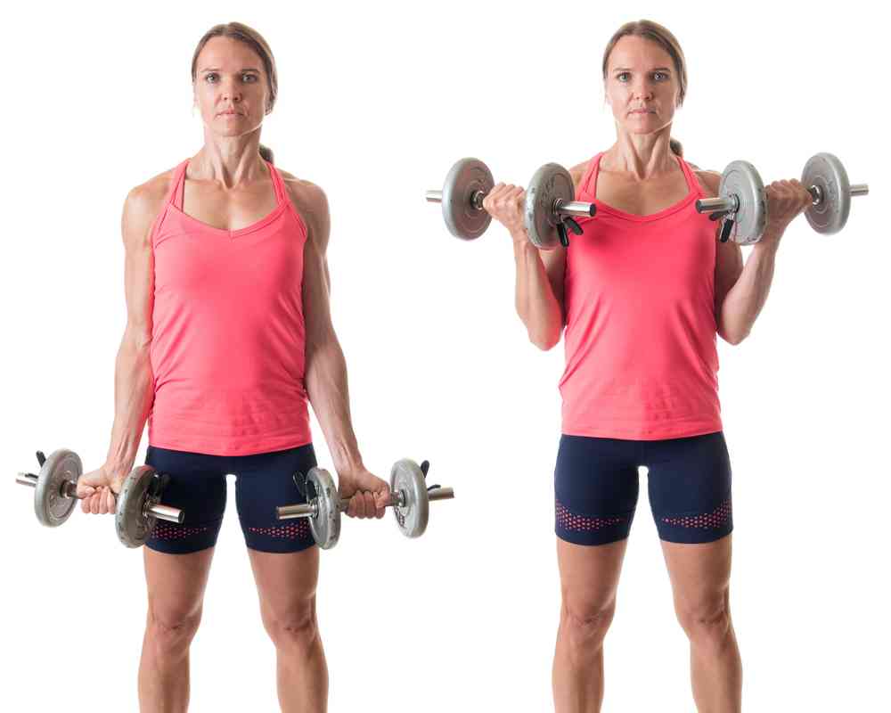 Hammer Curls vs Bicep Curls: Which is Better for Building Strength