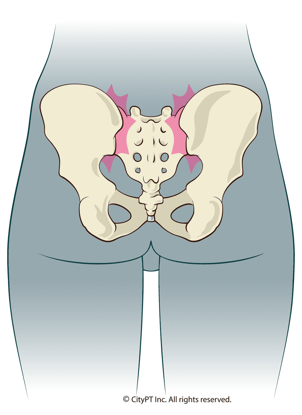 Detailed illustration of SI joint pain